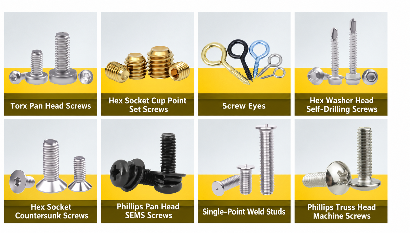 Screws product catalog